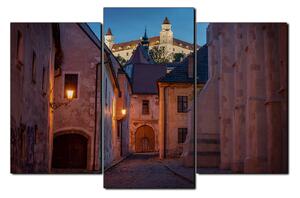 Obraz na plátne - Bratislava staré mesto s hradom vzadu 1265C (150x100 cm)