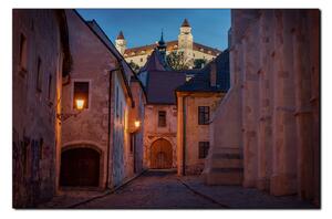 Obraz na plátne - Bratislava staré mesto s hradom vzadu 1265A (100x70 cm)