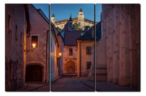 Obraz na plátne - Bratislava staré mesto s hradom vzadu 1265B (120x80 cm)