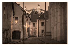 Obraz na plátne - Bratislava staré mesto s hradom vzadu 1265FB (90x60 cm )
