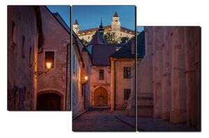 Obraz na plátne - Bratislava staré mesto s hradom vzadu 1265D (150x100 cm)