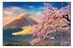 Obraz na plátne - Hora Fuji a čerešňové kvety na jar 1266A (90x60 cm )