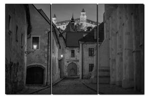 Obraz na plátne - Bratislava staré mesto s hradom vzadu 1265QB (90x60 cm )