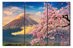Obraz na plátne - Hora Fuji a čerešňové kvety na jar 1266B (90x60 cm )