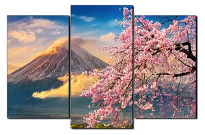 Obraz na plátne - Hora Fuji a čerešňové kvety na jar 1266C (150x100 cm)