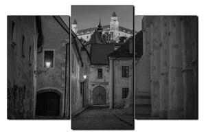Obraz na plátne - Bratislava staré mesto s hradom vzadu 1265QC (150x100 cm)