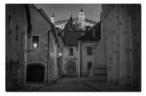 Obraz na plátne - Bratislava staré mesto s hradom vzadu 1265QA (120x80 cm)