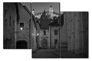 Obraz na plátne - Bratislava staré mesto s hradom vzadu 1265QD (150x100 cm)