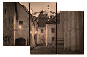Obraz na plátne - Bratislava staré mesto s hradom vzadu 1265FD (150x100 cm)