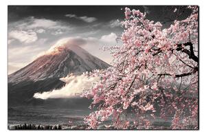 Obraz na plátne - Hora Fuji a čerešňové kvety na jar 1266QA (90x60 cm )