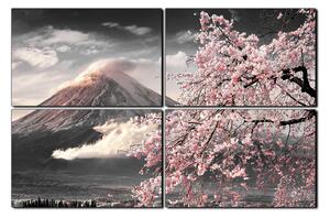 Obraz na plátne - Hora Fuji a čerešňové kvety na jar 1266QE (90x60 cm)