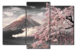 Obraz na plátne - Hora Fuji a čerešňové kvety na jar 1266QC (90x60 cm)