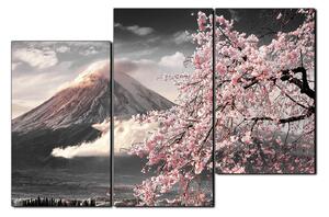 Obraz na plátne - Hora Fuji a čerešňové kvety na jar 1266QD (150x100 cm)