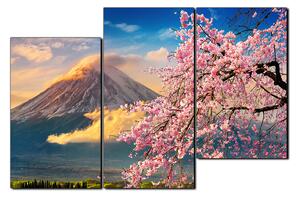 Obraz na plátne - Hora Fuji a čerešňové kvety na jar 1266D (150x100 cm)