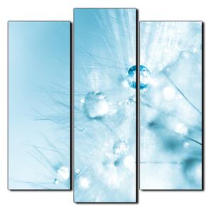 Obraz na plátne - Dandelion z kvapkami rosy - štvorec 3262C (75x75 cm)