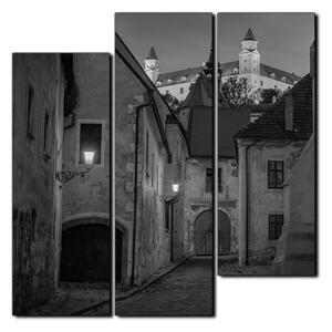 Obraz na plátne - Bratislava staré mesto s hradom vzadu - štvorec 3265QD (75x75 cm)