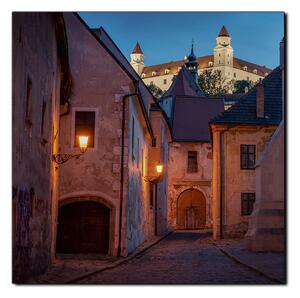 Obraz na plátne - Bratislava staré mesto s hradom vzadu - štvorec 3265A (50x50 cm)