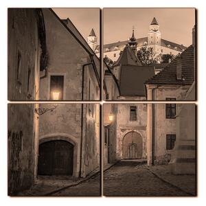 Obraz na plátne - Bratislava staré mesto s hradom vzadu - štvorec 3265FE (60x60 cm)