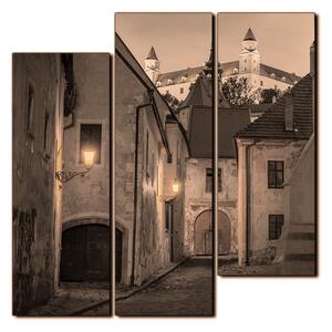 Obraz na plátne - Bratislava staré mesto s hradom vzadu - štvorec 3265FD (75x75 cm)