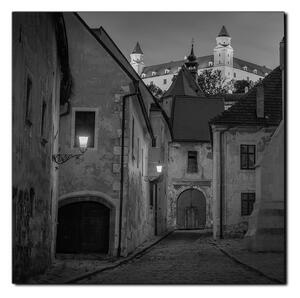 Obraz na plátne - Bratislava staré mesto s hradom vzadu - štvorec 3265QA (50x50 cm)