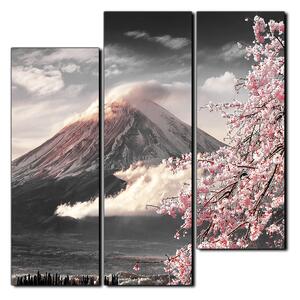 Obraz na plátne - Hora Fuji a čerešňové kvety na jar - štvorec 3266QD (75x75 cm)