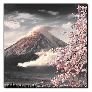Obraz na plátne - Hora Fuji a čerešňové kvety na jar - štvorec 3266QA (50x50 cm)
