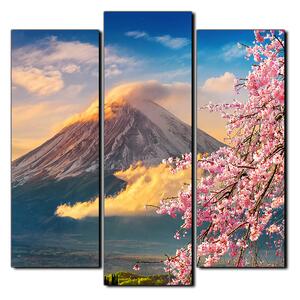 Obraz na plátne - Hora Fuji a čerešňové kvety na jar - štvorec 3266C (75x75 cm)