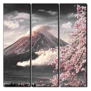 Obraz na plátne - Hora Fuji a čerešňové kvety na jar - štvorec 3266QB (75x75 cm)