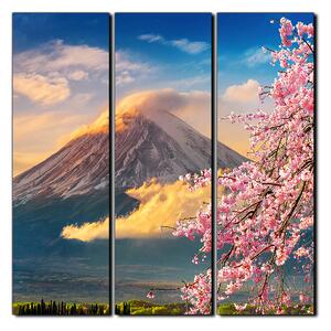 Obraz na plátne - Hora Fuji a čerešňové kvety na jar - štvorec 3266B (75x75 cm)