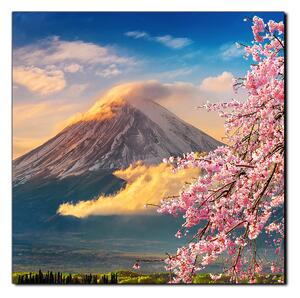 Obraz na plátne - Hora Fuji a čerešňové kvety na jar - štvorec 3266A (50x50 cm)
