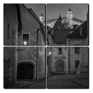 Obraz na plátne - Bratislava staré mesto s hradom vzadu - štvorec 3265QE (60x60 cm)
