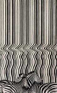 Koberec kusový Carpet Decor Handmade - DRAFT BLACK Rozmer koberca: 160x230 cm