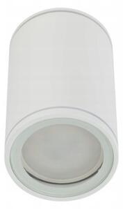 Bodové svietidlo FLARE 1xGU10/10W/230V 10 cm biela