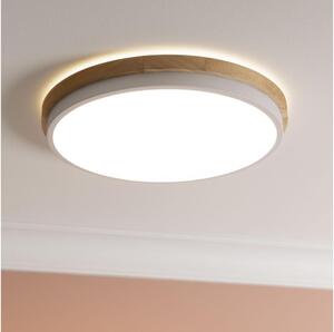 Brilliant - LED St. stropné svietidlo BAARLO LED/24W/230V pr. 35 cm biela