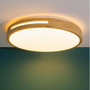Brilliant - LED Stmievateľné stropné svietidlo WOODBURY LED/24W/230V pr. 39 cm