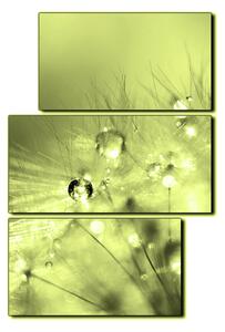 Obraz na plátne - Dandelion z kvapkami rosy - obdĺžnik 7262ZD (90x60 cm)
