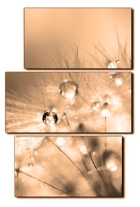 Obraz na plátne - Dandelion z kvapkami rosy - obdĺžnik 7262FC (90x60 cm)