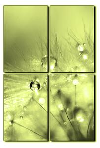 Obraz na plátne - Dandelion z kvapkami rosy - obdĺžnik 7262ZE (120x80 cm)
