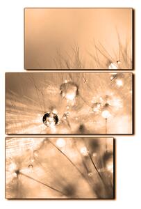 Obraz na plátne - Dandelion z kvapkami rosy - obdĺžnik 7262FD (90x60 cm)