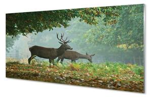 Nástenný panel  Jeleňa na jeseň les 100x50 cm