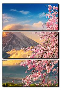 Obraz na plátne - Hora Fuji a čerešňové kvety na jar - obdĺžnik 7266B (90x60 cm )