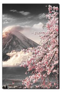 Obraz na plátne - Hora Fuji a čerešňové kvety na jar - obdĺžnik 7266QA (100x70 cm)