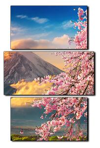 Obraz na plátne - Hora Fuji a čerešňové kvety na jar - obdĺžnik 7266C (90x60 cm)