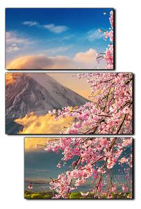 Obraz na plátne - Hora Fuji a čerešňové kvety na jar - obdĺžnik 7266D (90x60 cm)