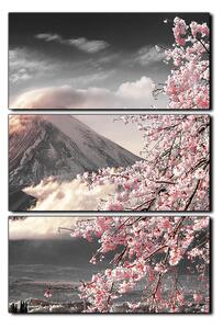 Obraz na plátne - Hora Fuji a čerešňové kvety na jar - obdĺžnik 7266QB (90x60 cm )