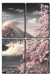 Obraz na plátne - Hora Fuji a čerešňové kvety na jar - obdĺžnik 7266QE (120x80 cm)