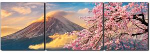 Obraz na plátne - Hora Fuji a čerešňové kvety na jar - panoráma 5266C (90x30 cm)