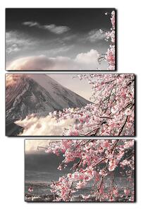 Obraz na plátne - Hora Fuji a čerešňové kvety na jar - obdĺžnik 7266QD (105x70 cm)