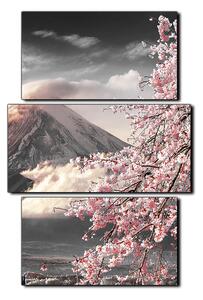 Obraz na plátne - Hora Fuji a čerešňové kvety na jar - obdĺžnik 7266QC (90x60 cm)