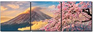 Obraz na plátne - Hora Fuji a čerešňové kvety na jar - panoráma 5266B (90x30 cm)